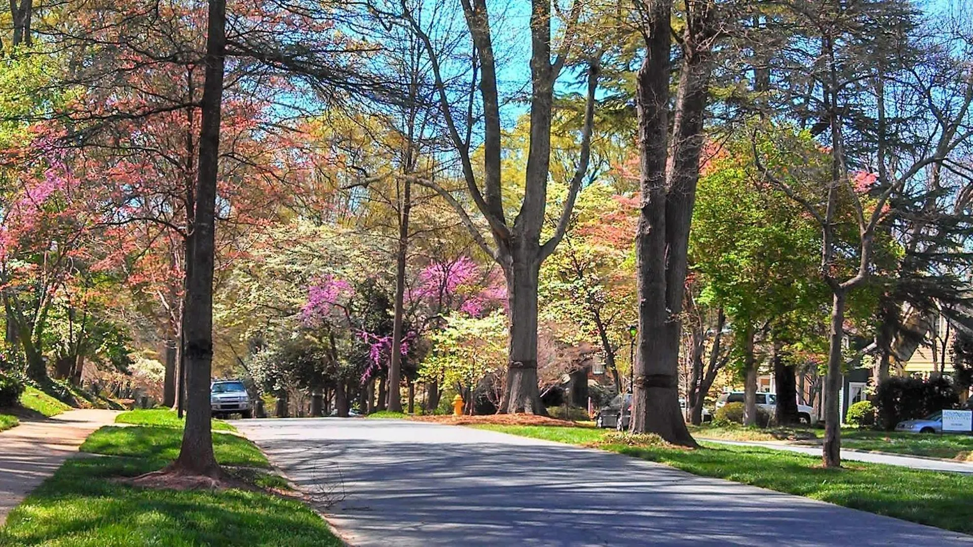 Holiday home Spacious Conveniently Located 1Br In Myers Park Charlotte United States