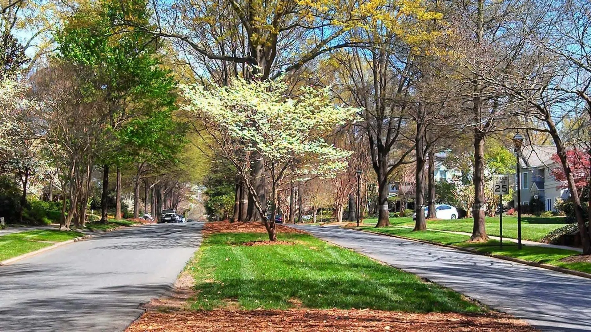 Spacious Conveniently Located 1Br In Myers Park Charlotte Holiday home
